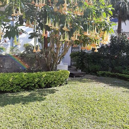 Figtree Guesthouse Maputo Exteriör bild