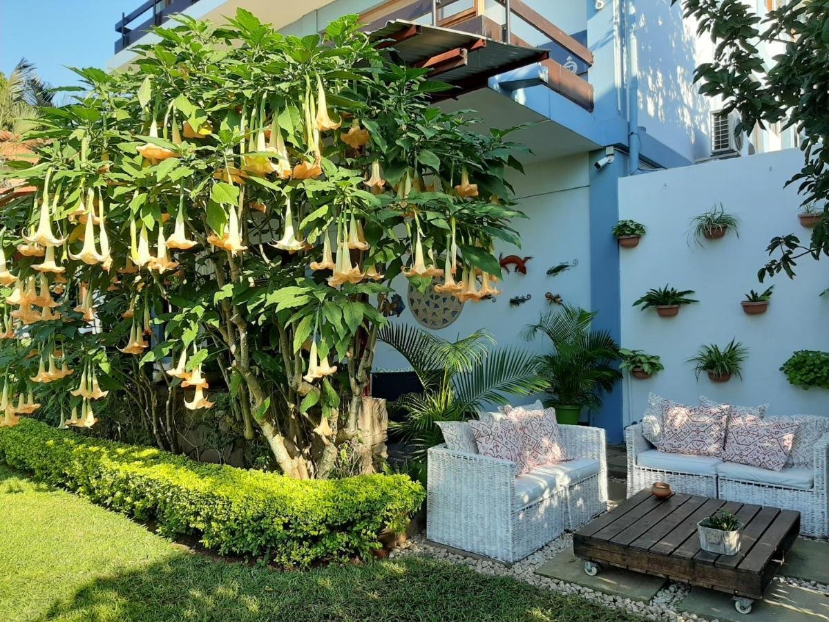 Figtree Guesthouse Maputo Exteriör bild