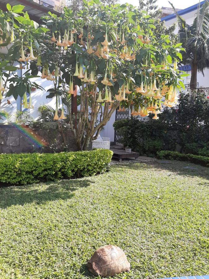 Figtree Guesthouse Maputo Exteriör bild