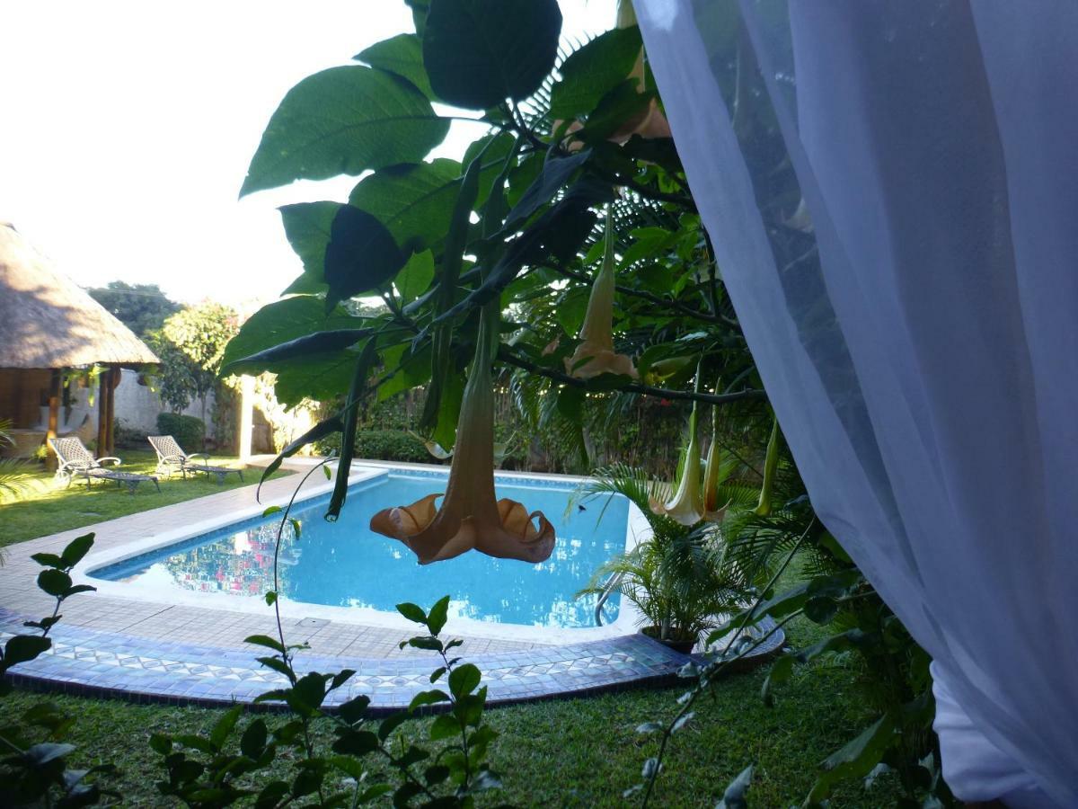 Figtree Guesthouse Maputo Exteriör bild